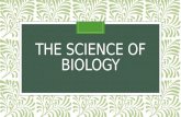 THE SCIENCE OF BIOLOGY. Biology The study of Life Key aspect of biology:  The study of one living thing always involves studying other living things.