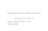 Self Organization in Ad Hoc Networks BASIL SAEED, ATTA ZAINALDIN Professor: ABDULMOTALEB EL SADDIK Course: ELG 5121 November 26, 2010.