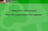 FORESTRY COMMISSION How the organisation fits together.