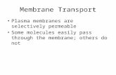 Membrane Transport Plasma membranes are selectively permeable Some molecules easily pass through the membrane; others do not.