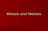 Mitosis and Meiosis. Differences in Human Cell Types Somatic Cells Somatic Cells-“regular” -diploid (46 chromosomes) -Identical DNA throughout body Gamete-
