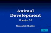 Animal Develepment Chapter 53 Sila and Kharee. Fertilization Fertilization, the union of male and female gametes, is the first step in reproduction. Fertilization,