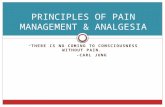 “ THERE IS NO COMING TO CONSCIOUSNESS WITHOUT PAIN.” -CARL JUNG PRINCIPLES OF PAIN MANAGEMENT & ANALGESIA.