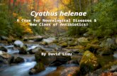 Cyathus helenae A Cure for Neurological Diseases & New Class of Antibiotics! By David Lieu.