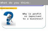What do you think:  Write your ideas…. Why is profit so important to a business?