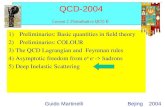 QCD-2004 Lesson 2 :Perturbative QCD II 1)Preliminaries: Basic quantities in field theory 2)Preliminaries: COLOUR 3) The QCD Lagrangian and Feynman rules.