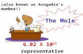 6.02 X 10 23 representative particles The Mole (also known as Avogadro’s number!)