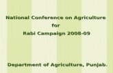 National Conference on Agriculture for Rabi Campaign 2008-09 Department of Agriculture, Punjab Department of Agriculture, Punjab.