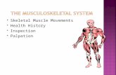 Skeletal Muscle Movements  Health History  Inspection  Palpation.