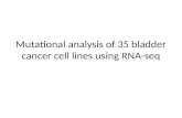 Mutational analysis of 35 bladder cancer cell lines using RNA-seq.
