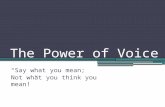 The Power of Voice “Say what you mean; Not what you think you mean!”