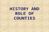 HISTORY AND ROLE OF COUNTIES 50440457.1.