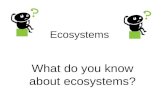Ecosystems What do you know about ecosystems?. Georgia Performance Standards S4L1: Students will describe the roles of organisms and the flow of energy.