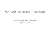 MATLAB for Image Processing Francesca Pizzorni Ferrarese Mar 3 rd, 2010.
