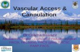 Vascular Access & Cannulation Dr Osama Bawazir Assistant Professor, Consultant Pediatric surgeon FRCSI, FRCS(Ed), FRCS (glas), FRCSC, FAAP,FACS.