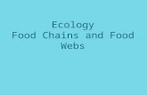 Ecology Food Chains and Food Webs. What Eats What???