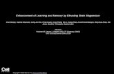 Enhancement of Learning and Memory by Elevating Brain Magnesium Inna Slutsky, Nashat Abumaria, Long-Jun Wu, Chao Huang, Ling Zhang, Bo Li, Xiang Zhao,