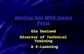 Getting Hot With Insect Pests Ole Dosland Director of Technical Training & E-Learning.