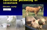 Pesticide poisoning of livestock Educator, county.