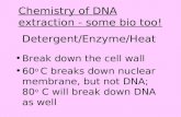 Detergent/Enzyme/Heat Break down the cell wall 60 o C breaks down nuclear membrane, but not DNA; 80 o C will break down DNA as well Chemistry of DNA extraction.
