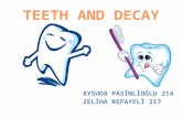 Four different tissues make up each tooth. The enamel is the durable, white covering. Enamel protects the tooth from the wear and tear.