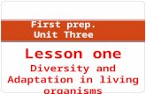 Lesson one Diversity and Adaptation in living organisms First prep. Unit Three.