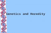 Genetics and Heredity Genetics The study of heredity, how traits are passed from parent to offspring x = or.