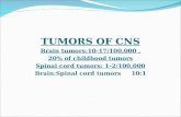 TUMORS OF CNS Brain tumors:10-17/100,000, 20% of childhood tumors Spinal cord tumors: 1-2/100,000 Brain:Spinal cord tumors 10:1.