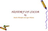 HISTORY OF COCOA by Andro Pleskalt and Igor Marin.
