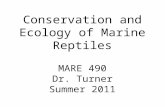 Conservation and Ecology of Marine Reptiles MARE 490 Dr. Turner Summer 2011.