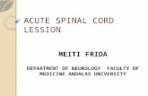 ACUTE SPINAL CORD LESSION MEITI FRIDA DEPARTMENT OF NEUROLOGY FACULTY OF MEDICINE ANDALAS UNIVERSITY.