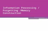 Information Processing / Forgetting /Memory Construction.