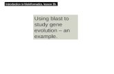 Using blast to study gene evolution – an example. Introduction to bioinformatics, lesson 3b.