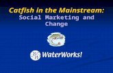 Catfish in the Mainstream: Social Marketing and Change.