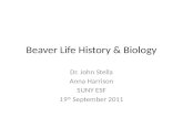 Beaver Life History & Biology Dr. John Stella Anna Harrison SUNY ESF 19 th September 2011.