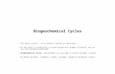Biogeochemical Cycles All matter cycles … it is neither created nor destroyed …. As the Earth is essentially a closed system with respect to matter, we.