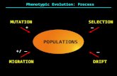 MUTATIONSELECTION DRIFTMIGRATION POPULATIONS Phenotypic Evolution: Process + +/ — — —