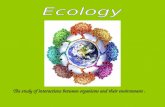 The study of interactions between organisms and their environment.