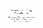 Honors Biology Module 14 Kingdom Plantae: Anatomy and Classification March 27,2014.