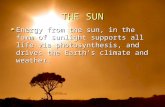 THE SUN Energy from the sun, in the form of sunlight supports all life via photosynthesis, and drives the Earth’s climate and weather.