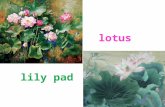 Lily pad lotus. maMa Liang Ma Liang and the Magic Brush.