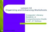 1 Lesson 13 Organizing and Enhancing Worksheets Computer Literacy BASICS: A Comprehensive Guide to IC 3, 3 rd Edition Morrison / Wells.