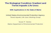 The Biological Condition Gradient and Tiered Aquatic Life Uses: With Applications in the State of Maine United States Environmental Protection Agency Tiered.