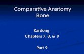 Comparative Anatomy Bone Kardong Chapters 7, 8, & 9 Part 9.