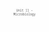 Unit 11 - Microbiology. I. Life functions 1. Transport - how materials move throughout an organism 2. Excretion – how an organism removes waste 3. Respiration.