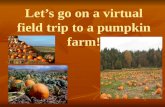 Let’s go on a virtual field trip to a pumpkin farm!