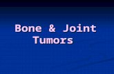Bone & Joint Tumors. Periostal reactions Periostal reactions Response to RAPIDLY growing lesions 1. Spiculated "hair-on-end" 2. Onion-skinning.
