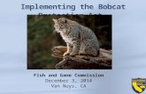 Implementing the Bobcat Protection Act Fish and Game Commission December 3, 2014 Van Nuys, CA.