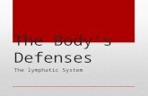 The Body’s Defenses The lymphatic System. Functions of Lymphatic System Help protect body from infection by disease causing agents Must detect a wide.