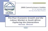 2008 Commissioners Indaba 19 – 21 st November 2008 Sun City, North West Province Pro-Poor Economic Growth and the Labour Market in South Africa: Exploring.